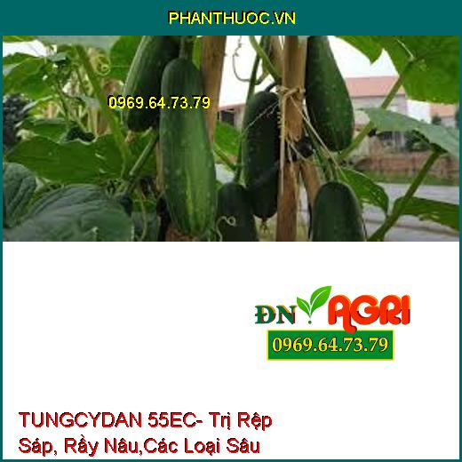 TUNGCYDAN 55EC- Trị Rệp Sáp, Rầy Nâu,Các Loại Sâu