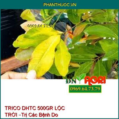 TRICO DHTC 500GR LỘC TRỜI –Trị Các Bệnh Do Nấm,Thối Rễ