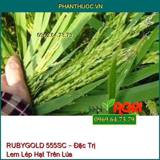 RUBYGOLD 555SC – Đặc Trị Lem Lép Hạt Trên Lúa