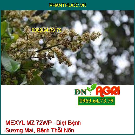 MEXYL MZ 72WP –Diệt Bệnh Sương Mai, Bệnh Thỗi Nõn