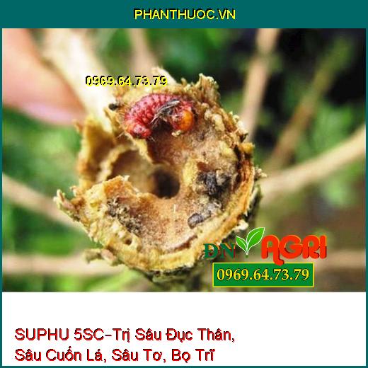 SUPHU 5SC–Trị Sâu Đục Thân, Sâu Cuốn Lá, Sâu Tơ, Bọ Trĩ