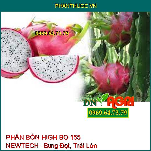 PHÂN BÓN HIGH BO 155 NEWTECH –Bung Đọt, Trái Lớn