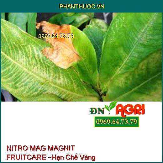 NITRO MAG MAGNIT FRUITCARE –Hạn Chế Vàng Lá,Rụng Lá