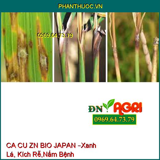 CA CU ZN BIO JAPAN –Xanh Lá, Kích Rễ,Nấm Bệnh