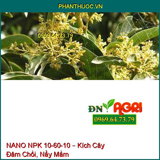 NANO NPK 10-60-10 – Kích Cây Đâm Chồi, Nẩy Mầm