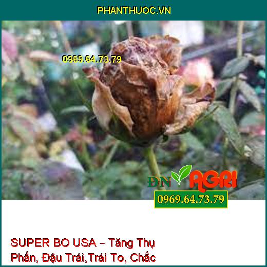 SUPER BO USA – Tăng Thụ Phấn, Đậu Trái,Trái To, Chắc Hạt