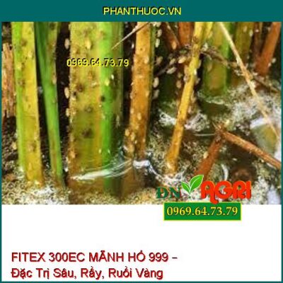 FITEX 300EC MÃNH HỔ 999 – Đặc Trị Sâu, Rầy, Ruồi Vàng