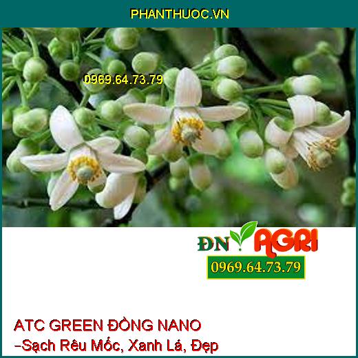 ATC GREEN ĐỒNG NANO –Sạch Rêu Mốc, Xanh Lá, Đẹp Trái