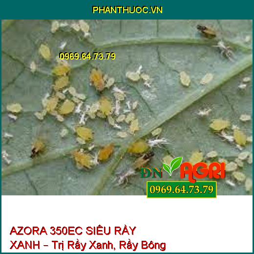 AZORA 350EC SIÊU RẦY XANH – Trị Rầy Xanh, Rầy Bông