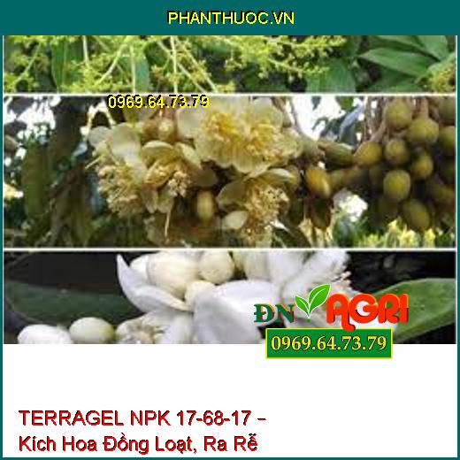 TERRAGEL NPK 17-68-17 – Kích Hoa Đồng Loạt, Ra Rễ