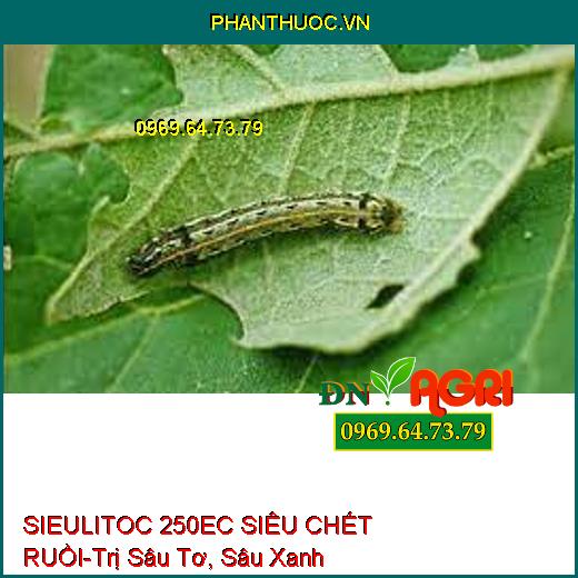 SIEULITOC 250EC SIÊU CHẾT RUỒI-Trị Sâu Tơ, Sâu Xanh