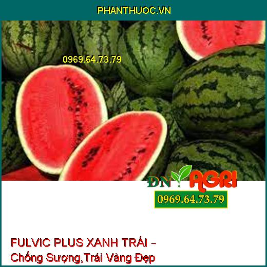 FULVIC PLUS XANH TRÁI – Chống Sượng,Trái Vàng Đẹp