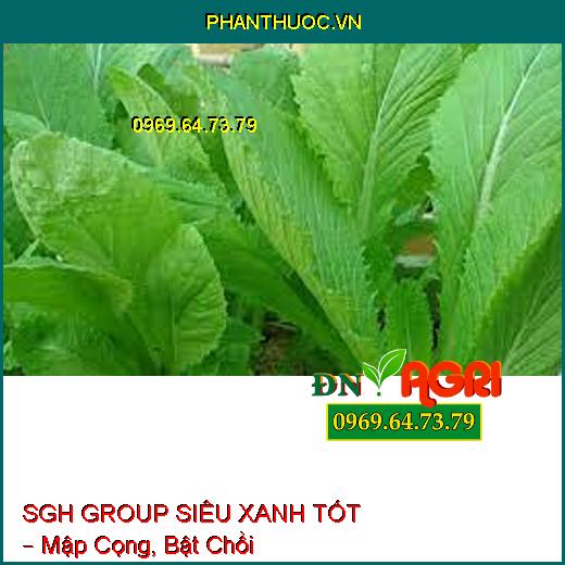 SGH GROUP SIÊU XANH TỐT – Mập Cọng, Bật Chồi