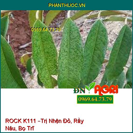 ROCK K111 –Trị Nhện Đỏ, Rầy Nâu, Bọ Trĩ