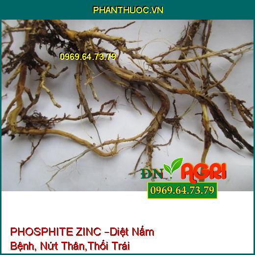 PHOSPHITE ZINC –Diệt Nấm Bệnh, Nứt Thân,Thối Trái