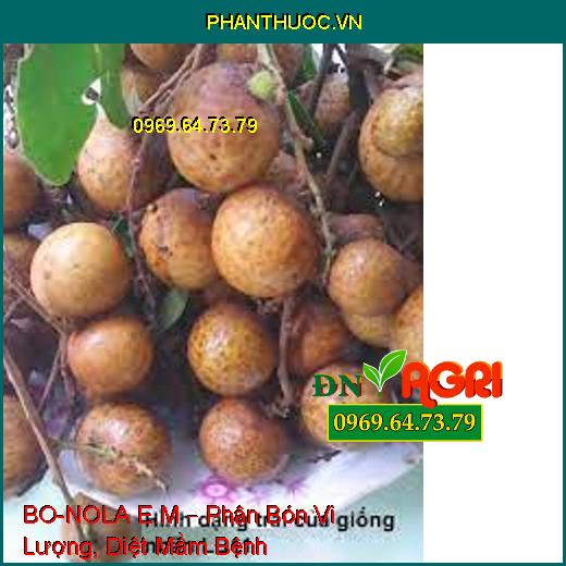 BO-NOLA E.M – Phân Bón Vi Lượng, Diệt Mầm Bệnh