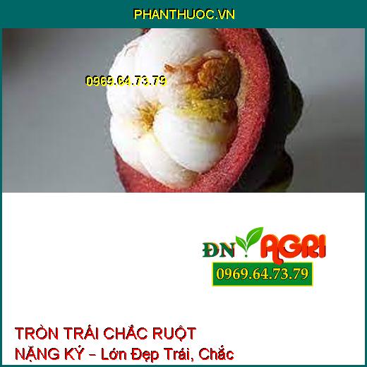 TRÒN TRÁI CHẮC RUỘT NẶNG KÝ – Lớn Đẹp Trái, Chắc Hạt