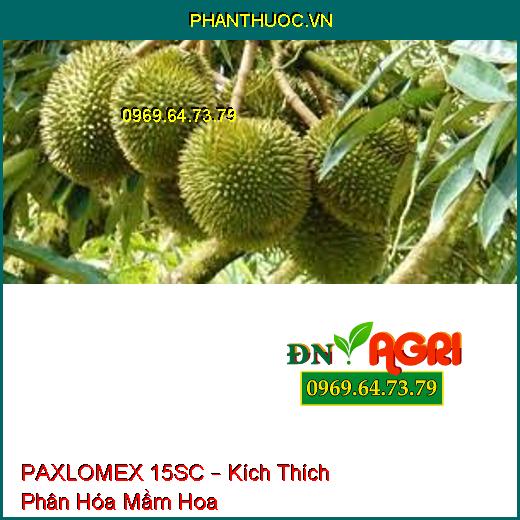 PAXLOMEX 15SC – Kích Thích Phân Hóa Mầm Hoa