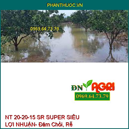 NT 20-20-15 SR SUPER SIÊU LỢI NHUẬN- Đâm Chồi, Rễ