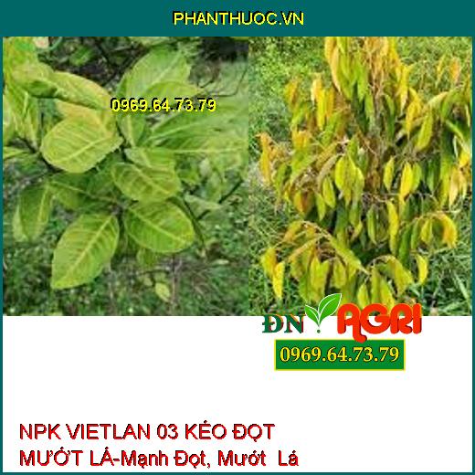 NPK VIETLAN 03 KÉO ĐỌT MƯỚT LÁ-Mạnh Đọt, Mướt Lá