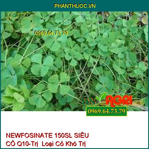 NEWFOSINATE 150SL SIÊU CỎ Q10-Trị Loại Cỏ Khó Trị