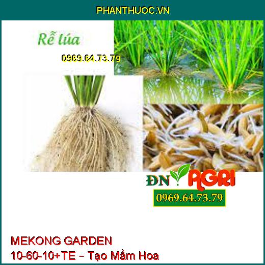 MEKONG GARDEN 10-60-10+TE – Tạo Mầm Hoa