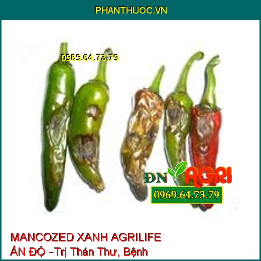 MANCOZED XANH AGRILIFE ẤN ĐỘ –Trị Thán Thư, Bệnh Ghẻ