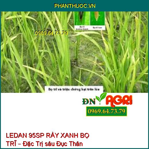 LEDAN 95SP RẦY XANH BỌ TRĨ – Đặc Trị sâu Đục Thân