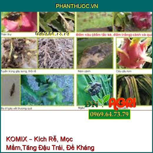 KOMIX – Kích Rễ, Mọc Mầm,Tăng Đậu Trái, Đề Kháng