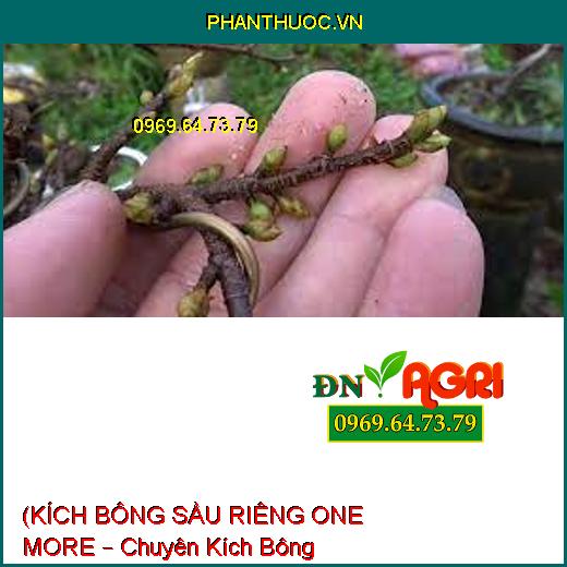 (KÍCH BÔNG SẦU RIÊNG ONE MORE – Chuyên Kích Bông