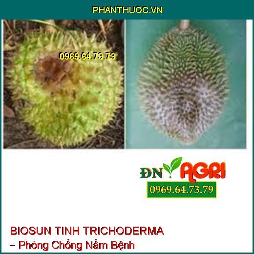 BIOSUN TINH TRICHODERMA – Phòng Chống Nấm Bệnh