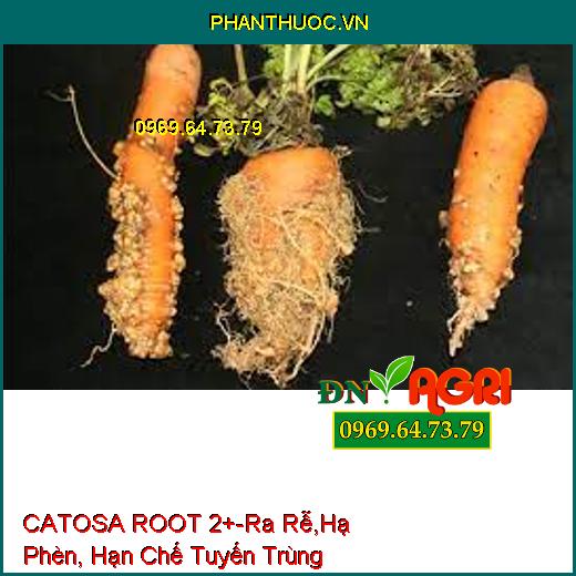 CATOSA ROOT 2+-Ra Rễ,Hạ Phèn, Hạn Chế Tuyến Trùng