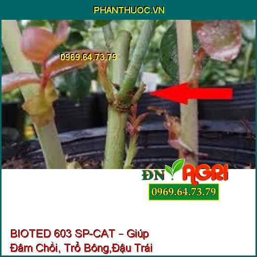 BIOTED 603 SP-CAT – Giúp Đâm Chồi, Trổ Bông,Đậu Trái