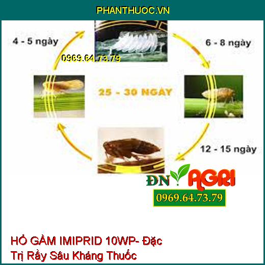 HỔ GẦM IMIPRID 10WP- Đặc Trị Rầy Sâu Kháng Thuốc