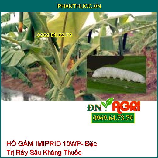 HỔ GẦM IMIPRID 10WP- Đặc Trị Rầy Sâu Kháng Thuốc