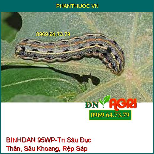 BINHDAN 95WP-Trị Sâu Đục Thân, Sâu Khoang, Rệp Sáp