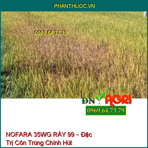 NOFARA 35WG RẦY 99 – Đặc Trị Côn Trùng Chính Hút