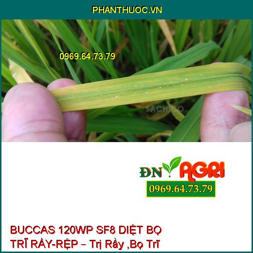 BUCCAS 120WP SF8 DIỆT BỌ TRĨ RẦY-RỆP – Trị Rầy ,Bọ Trĩ