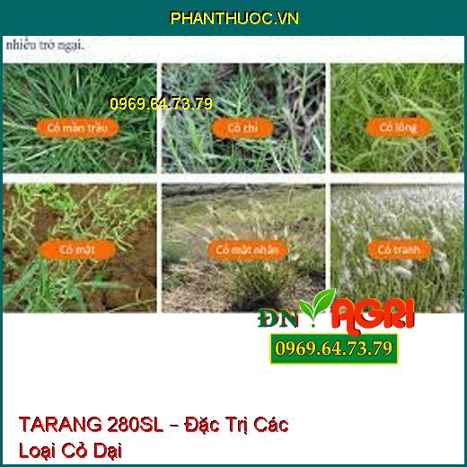 TARANG 280SL – Đặc Trị Các Loại Cỏ Dại