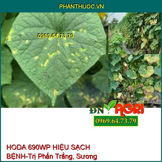 HODA 690WP HIỆU SẠCH BỆNH-Trị Phấn Trắng, Sương Mai