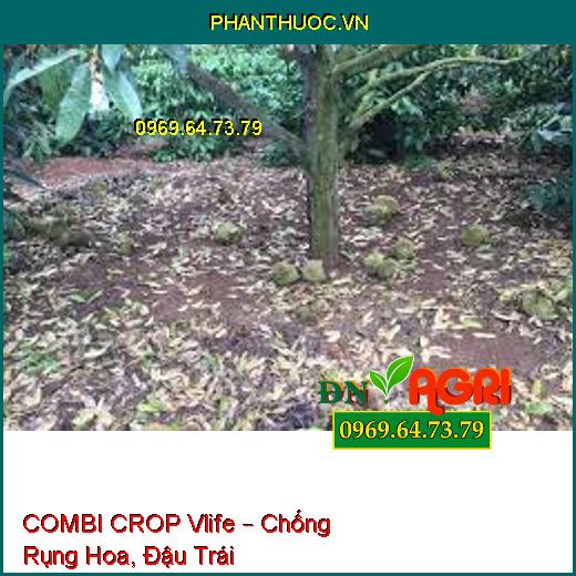 COMBI CROP Vlife – Chống Rụng Hoa, Đậu Trái