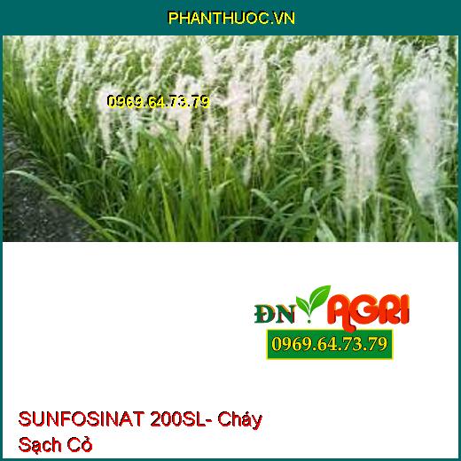 SUNFOSINAT 200SL- Cháy Sạch Cỏ