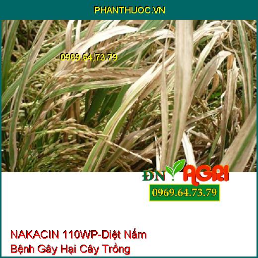 NAKACIN 110WP-Diệt Nấm Bệnh Gây Hại Cây Trồng