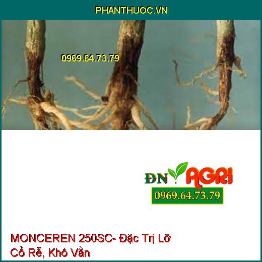 MONCEREN 250SC- Đặc Trị Lỡ Cổ Rễ, Khô Vằn