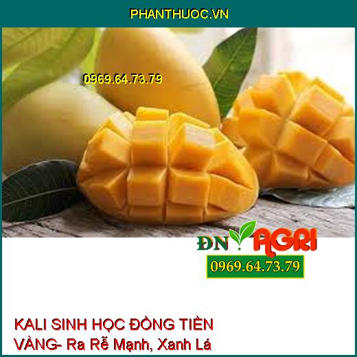 KALI SINH HỌC ĐỒNG TIỀN VÀNG- Ra Rễ Mạnh, Xanh Lá