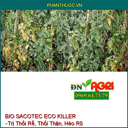 BIO SACOTEC ECO KILLER –Trị Thối Rễ, Thối Thân, Héo Rũ