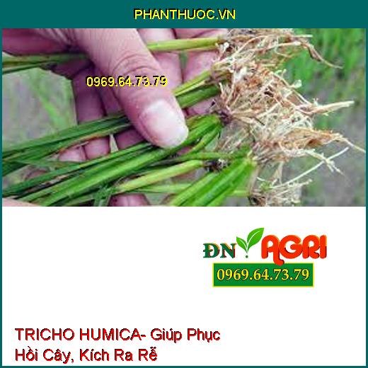 TRICHO HUMICA- Giúp Phục Hồi Cây, Kích Ra Rễ