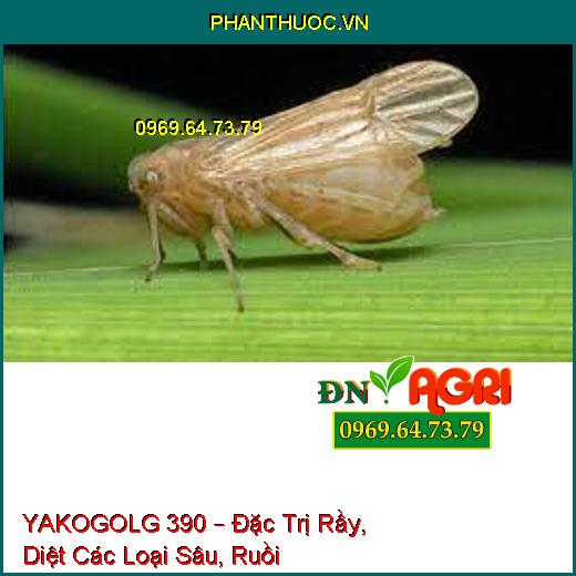 YAKOGOLG 390 – Đặc Trị Rầy, Diệt Các Loại Sâu, Ruồi