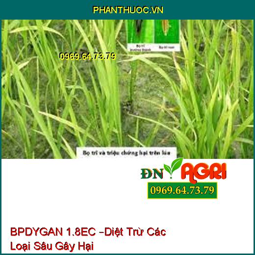 BPDYGAN 1.8EC –Diệt Trừ Các Loại Sâu Gây Hại