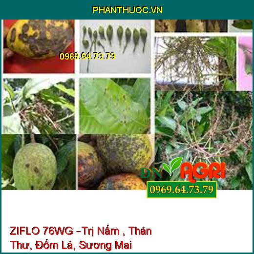 ZIFLO 76WG –Trị Nấm , Thán Thư, Đốm Lá, Sương Mai